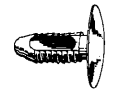 Fastener – (Walnut)